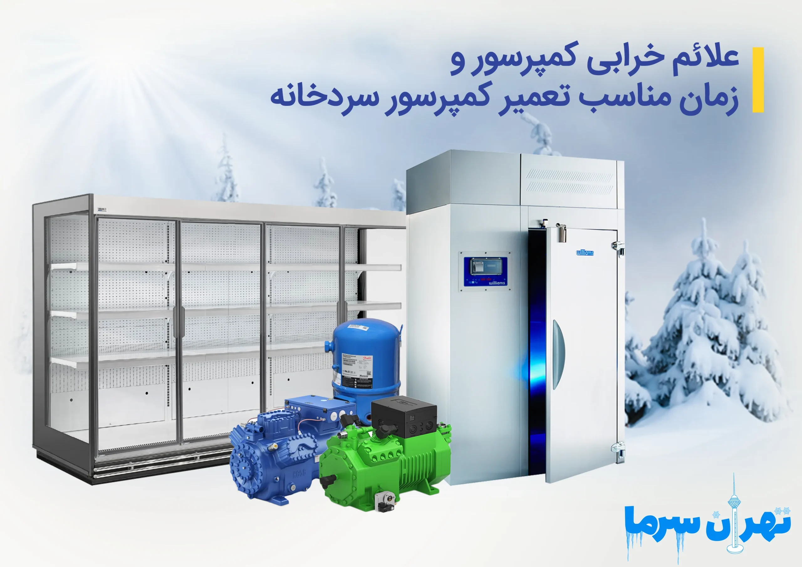 تعمیر کمپرسور سردخانه در تهران