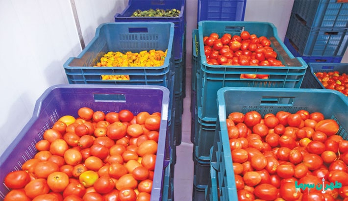 اثرات احداث سردخانه در زندگی ما چیست؟