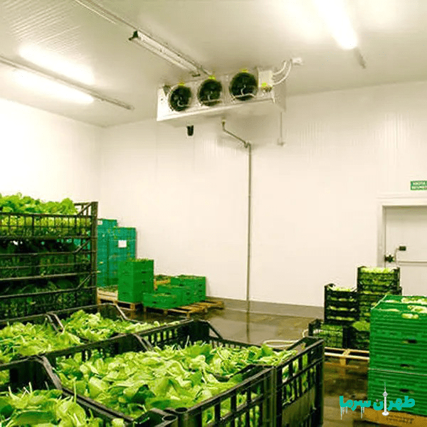 بودجه لازم برای راه اندازی یک سردخانه کوچک