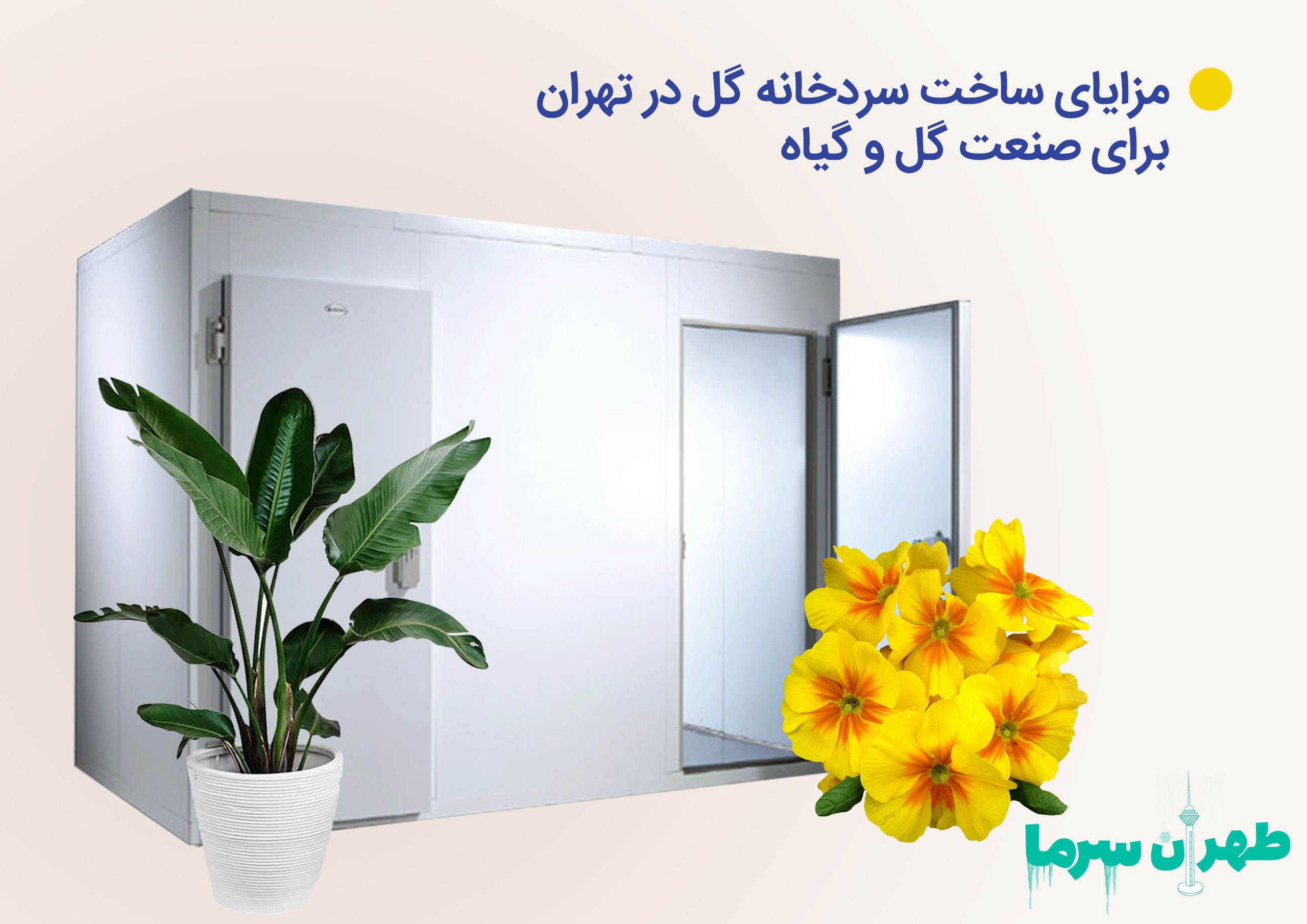 ساخت سردخانه گل در تهران