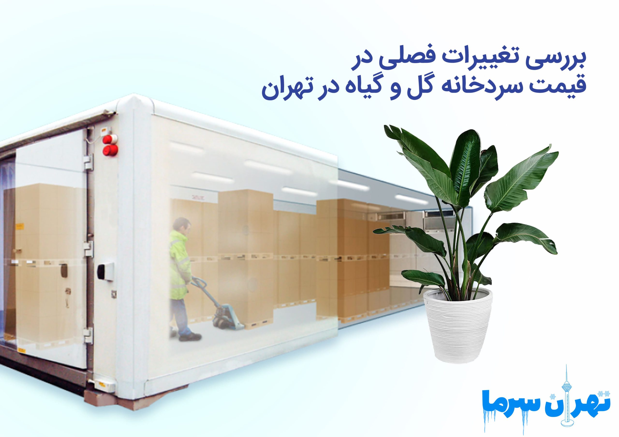 بررسی تغییرات فصلی در قیمت سردخانه گل و گیاه در تهران