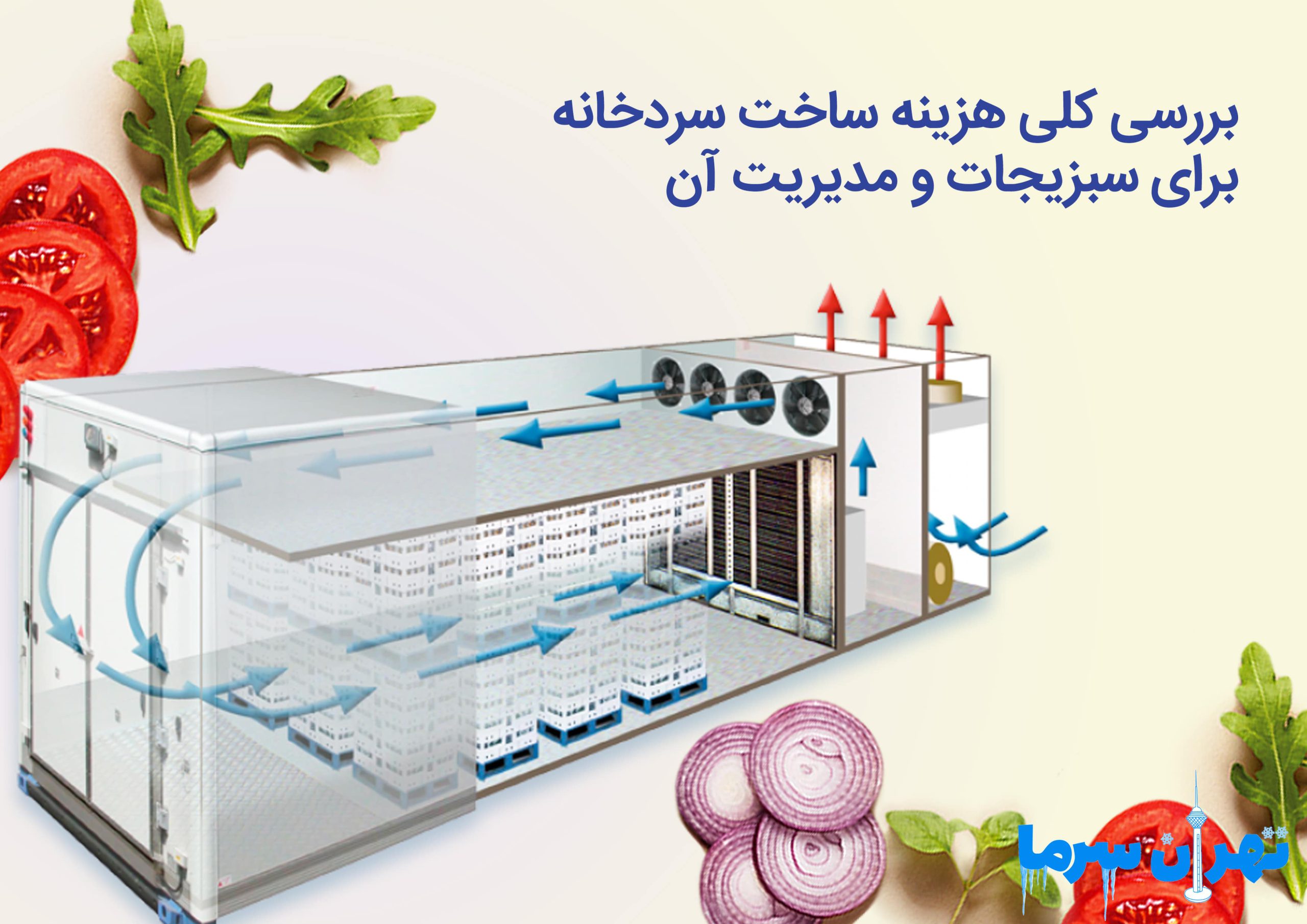 هزینه ساخت سردخانه برای سبزیجات