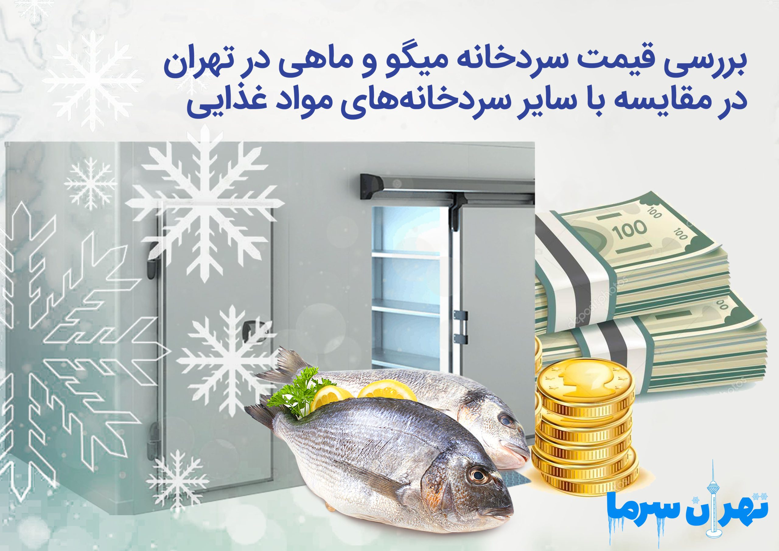 بررسی قیمت سردخانه میگو و ماهی در تهران
