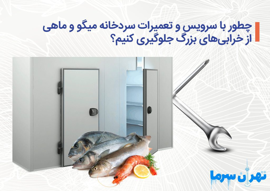 چطور با سرویس و تعمیرات سردخانه میگو و ماهی از خرابیهای بزرگ جلوگیری کنیم؟