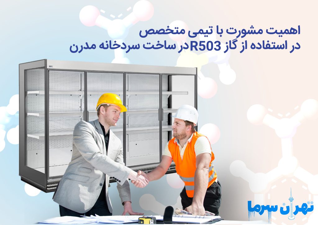 اهمیت مشورت با تیمی متخصص در استفاده از گاز R۵۰۳ در ساخت سردخانه مدرن