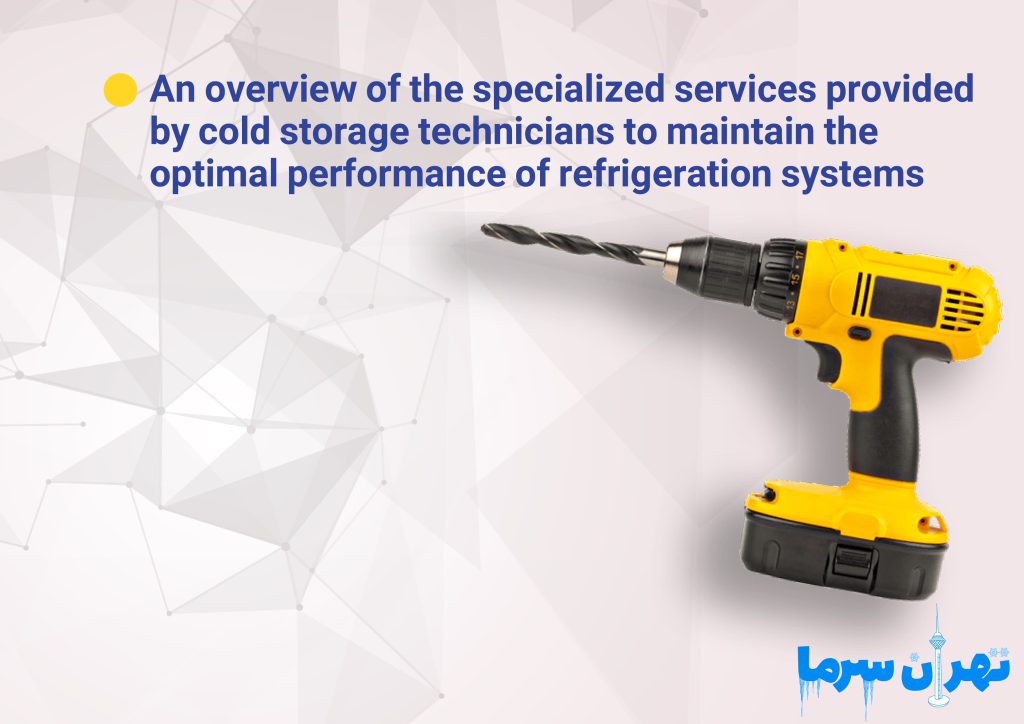 Review of Specialized Cold Storage Technician Services